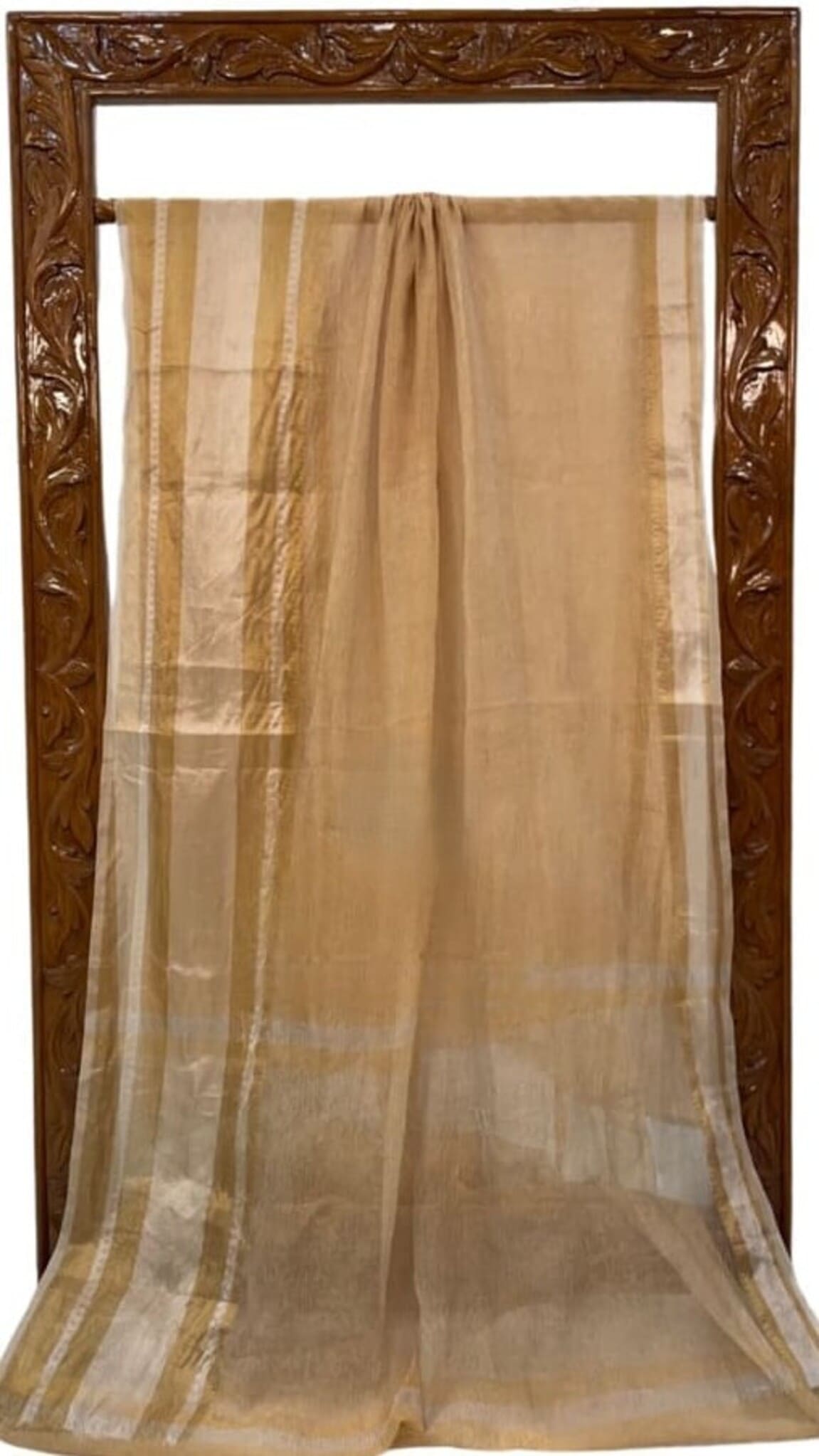 Cream tissue saree with gold border, sheer fabric hanging