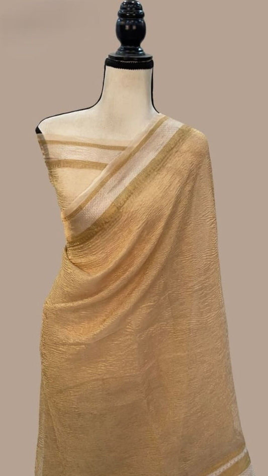 Cream tissue Banarasi saree with gold zari border, draped on mannequin