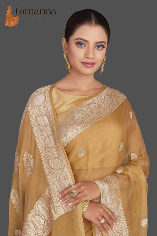 Golden yellow saree with detailed gold work border and leaf motifs throughout