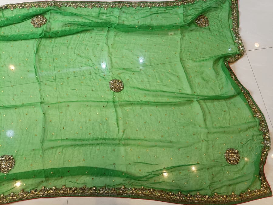 Green chiffon saree close-up showing gold trim and centered round stone embellishment