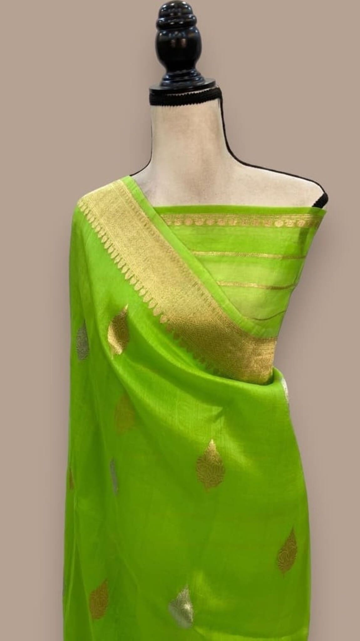 Parrot green saree with wide gold pallu border and scattered motifs